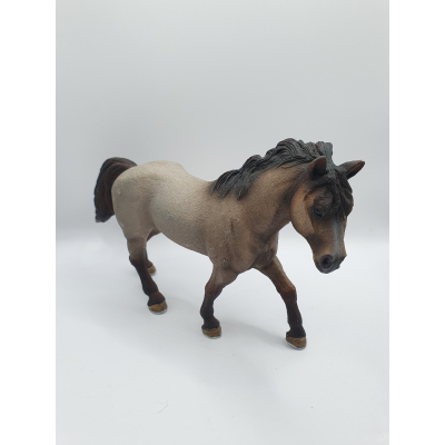 Quarter horse hengst 13650