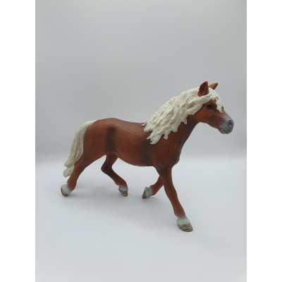 Haflinger hengst 13813