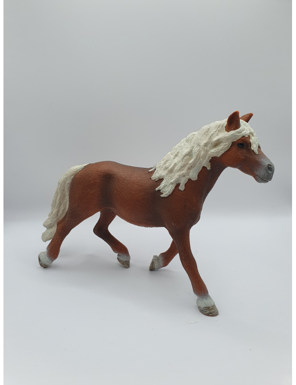 Haflinger hengst 13813