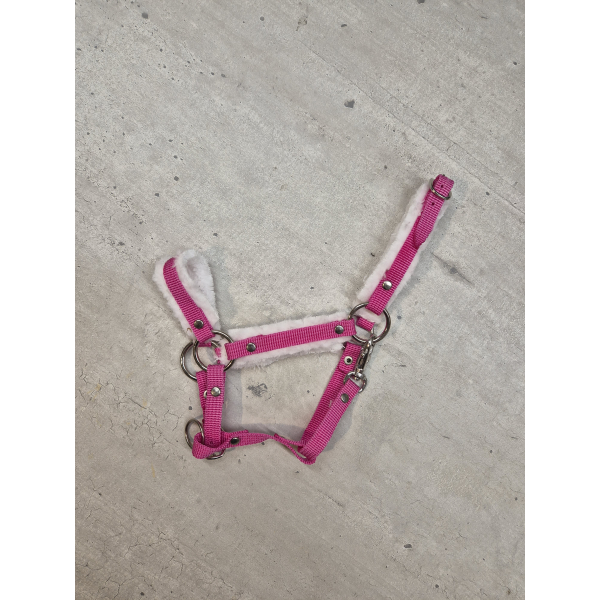 Bonthalster - fuchsia -