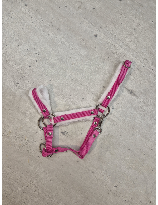 Bonthalster - fuchsia -