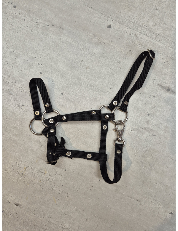 Halster - zwart -