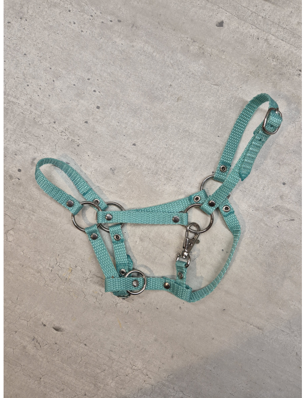 Halster - mint groen -