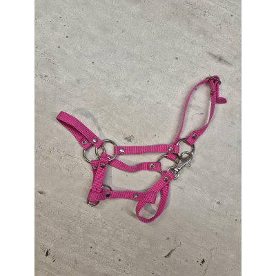 Halster - fuchsia -