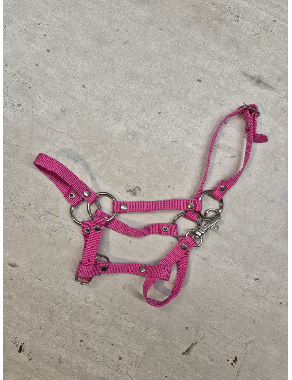 Halster - fuchsia -