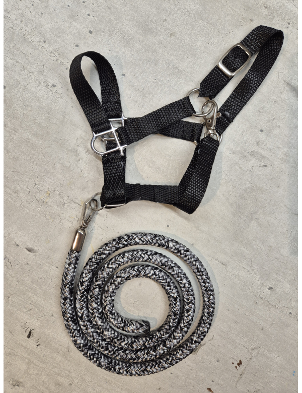 Halsterset - zwart -