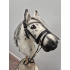 Hobbyhorse - Como -