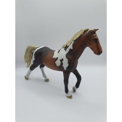 Trakehner hengst 13756