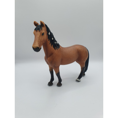 Trakehner merrie 13757