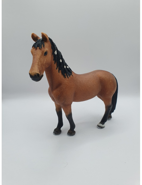 Trakehner merrie 13757