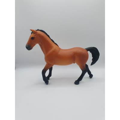 Trakehner hengst 72136